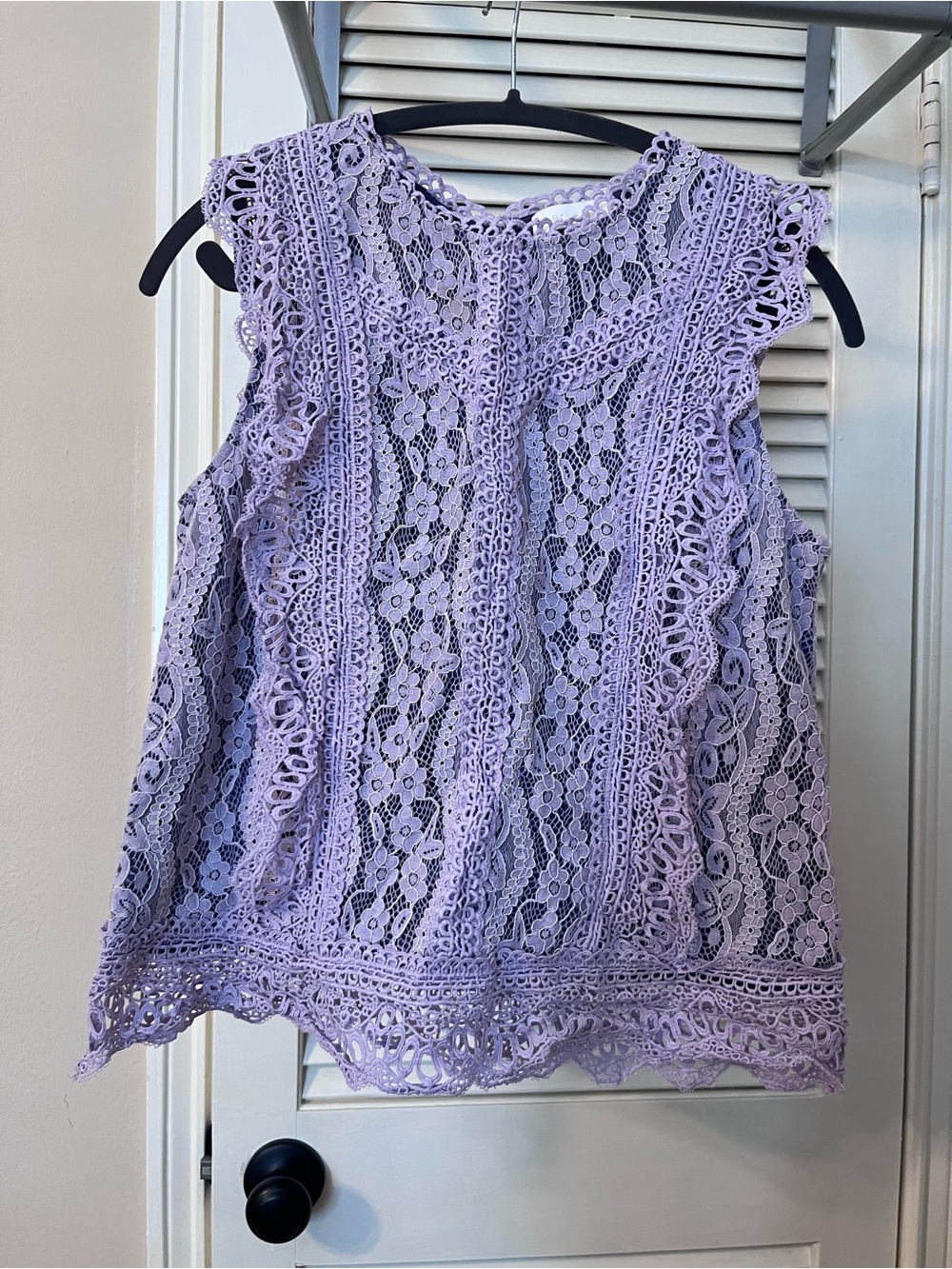 Gorgeous Eri & Ali Sleeveless Lace Ruffle Top - Lavender